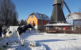 Dorfhotel Fleesensee